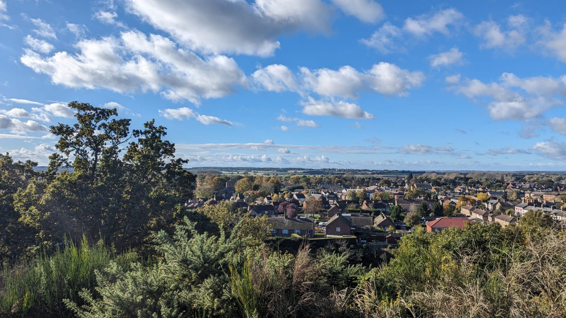 Townscape with trees
